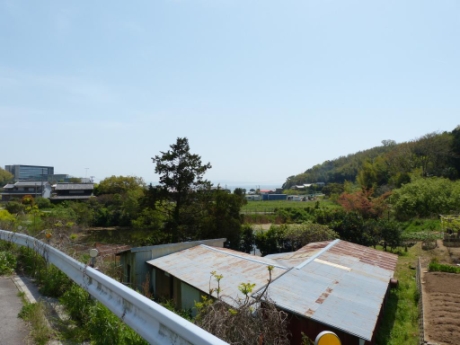 画像50